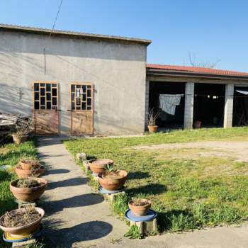 Casa singola in vendita a Ponso (Padova)