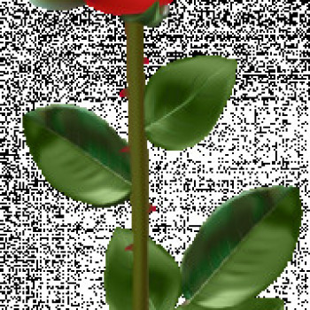Cerco amore vero 