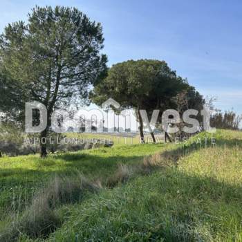 Terreno in vendita a Guidonia Montecelio (Roma)
