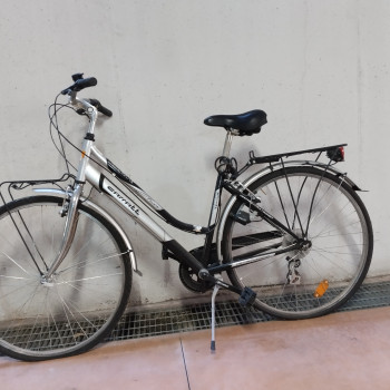 Bicicletta da citta