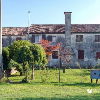 Rustico in vendita a Borgoricco (Padova)
