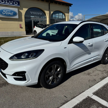 Ford Kuga St-Line 1.5 EcoBlue 120CV Automatica S&S