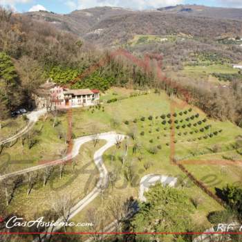 Villa in vendita a Bassano del Grappa (Vicenza)