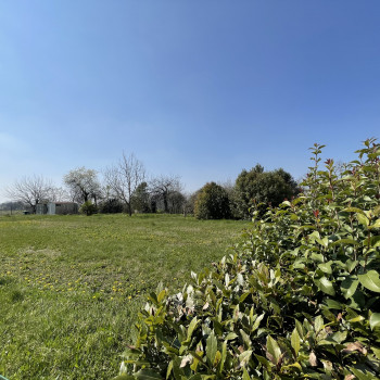 Terreno edificabile ad Oderzo