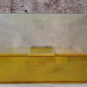 TARTARUGHIERA IN PLASTICA 
