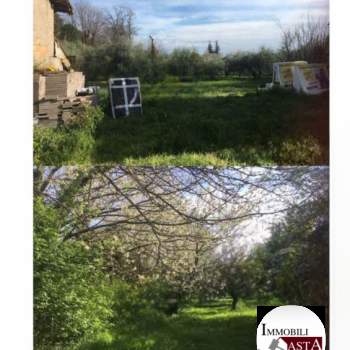 Appartamento in vendita a Velletri (Roma)