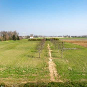 Terreno in vendita a Dueville (Vicenza)