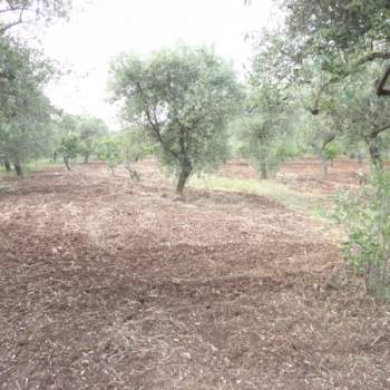 Terreno in vendita a Modugno (Bari)