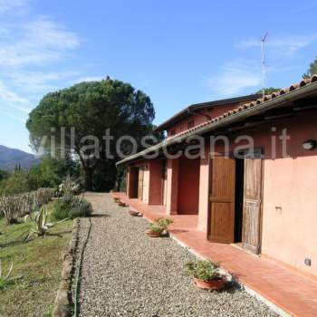 Casa singola in vendita a Castiglione della Pescaia (Grosseto)