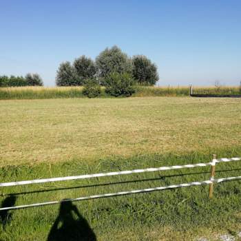 Terreno in vendita a Rovigo (Rovigo)