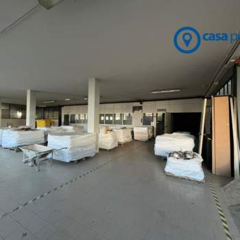 Magazzino in affitto a Rovigo (Rovigo)