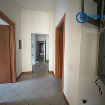 Ufficio in affitto a Rovigo (Rovigo)