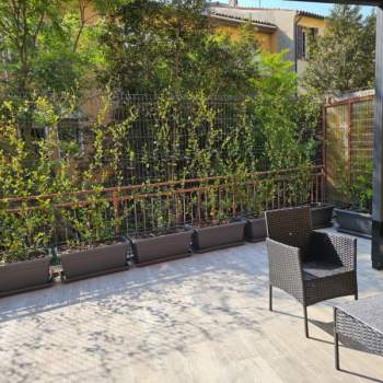 Appartamento in vendita a Padova (Padova)