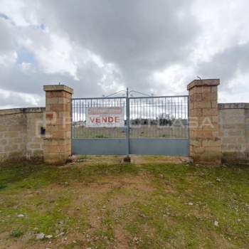 Terreno in vendita a Scorrano (Lecce)