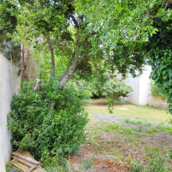 Terreno in vendita a Scorrano (Lecce)