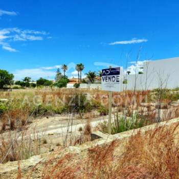Terreno in vendita a Racale (Lecce)