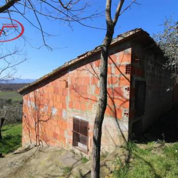 Rustico in vendita a Terranuova Bracciolini (Arezzo)