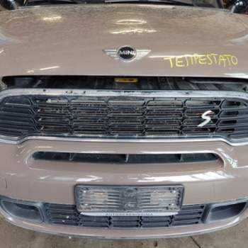 Griglia anteriore MINI COUNTRYMAN  del 2011