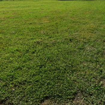 Terreno in vendita a Albignasego (Padova)