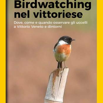 Guida al Birdwatching nel vittoriese
