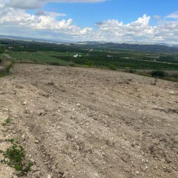Terreno in vendita a Noto (Siracusa)