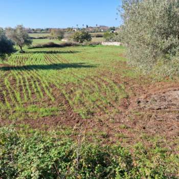 Terreno in vendita a Modica (Ragusa)