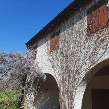 Rustico in vendita a Borgoricco (Padova)