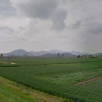 Terreno in vendita a Pernumia (Padova)