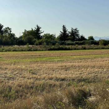 Terreno in vendita a Padova (Padova)