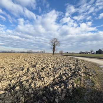 Terreno in vendita a Rovolon (Padova)