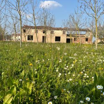 Rustico in vendita a Badia Polesine (Rovigo)