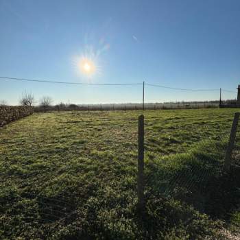 Terreno in vendita a Canda (Rovigo)