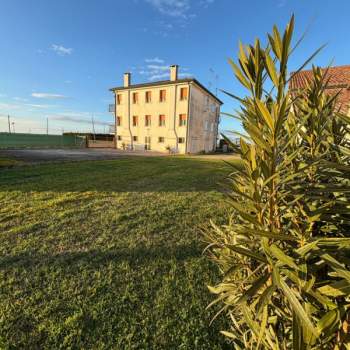 Palazzo in vendita a Badia Polesine (Rovigo)