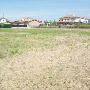 Terreno in vendita a Masi (Padova)