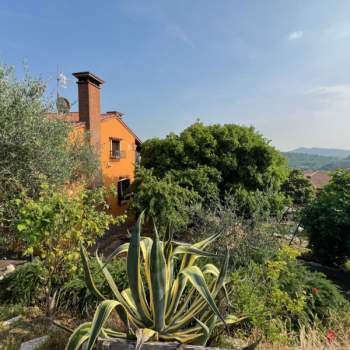 Villa in vendita a Arquà Petrarca (Padova)