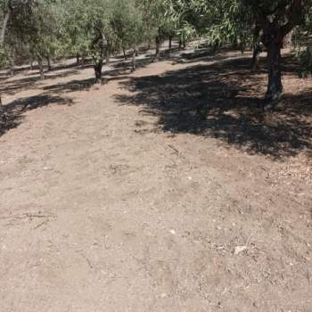 Terreno in vendita a Riace (Reggio Calabria)