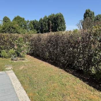 Appartamento in vendita a Stra (Venezia)