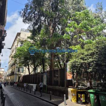 Attivita commerciale in vendita a Napoli (Napoli)