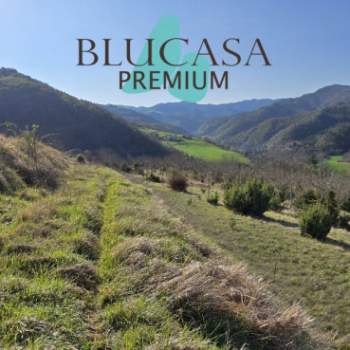 Terreno in vendita a Civitella di Romagna (Forlì-Cesena)
