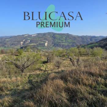 Terreno in vendita a Civitella di Romagna (Forlì-Cesena)