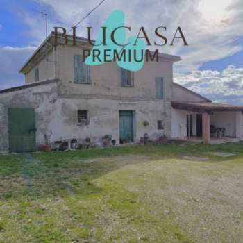 Casa singola in vendita a Bertinoro (Forlì-Cesena)