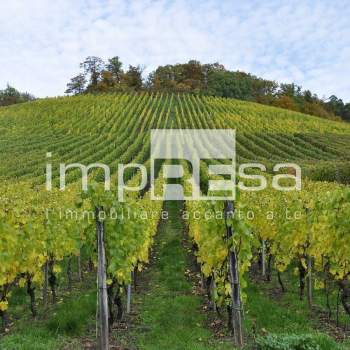 Terreno Agricolo in vendita a Valdobbiadene