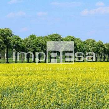 Terreno Agricolo in vendita a Montebelluna, Caonada