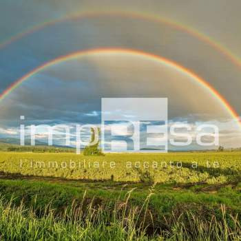 Terreno Agricolo in vendita a Casale sul Sile, Conscio