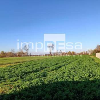 Terreno Residenziale a Mirano (Venezia)