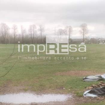Terreno Agricolo in vendita a Paese, Padernello