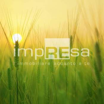 Terreno Agricolo in vendita a Paese, Porcellengo