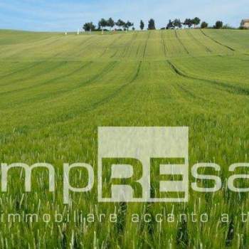 Terreno Agricolo a Brugnera (Pordenone)