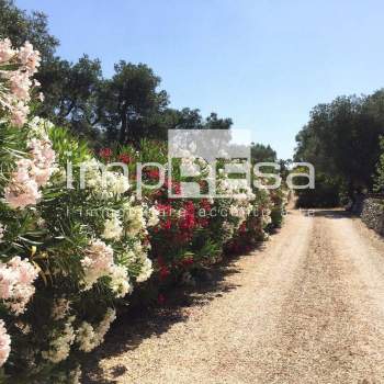 Terreno Agricolo a Carovigno (Brindisi)