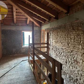 Schiere e abbinate in vendita a Treviso, Monigo